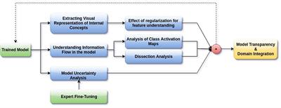 Demystifying Brain Tumor Segmentation Networks: Interpretability and Uncertainty Analysis